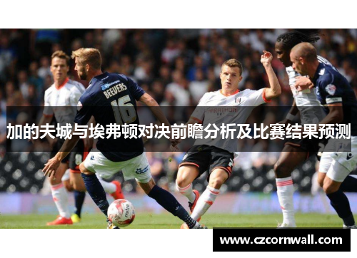 加的夫城与埃弗顿对决前瞻分析及比赛结果预测