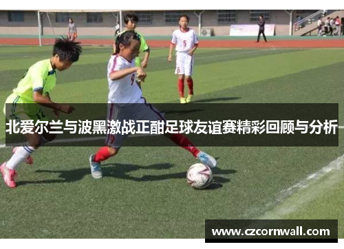 北爱尔兰与波黑激战正酣足球友谊赛精彩回顾与分析