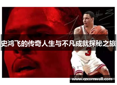 史鸿飞的传奇人生与不凡成就探秘之旅