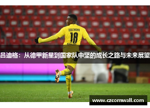吕迪格：从德甲新星到国家队中坚的成长之路与未来展望