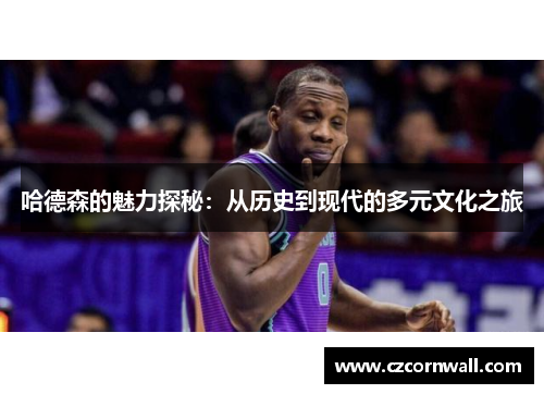 哈德森的魅力探秘：从历史到现代的多元文化之旅