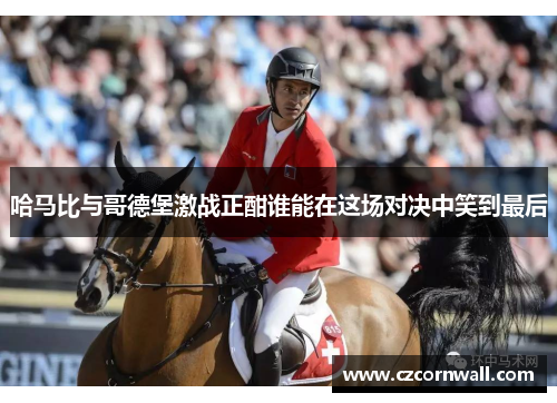 哈马比与哥德堡激战正酣谁能在这场对决中笑到最后