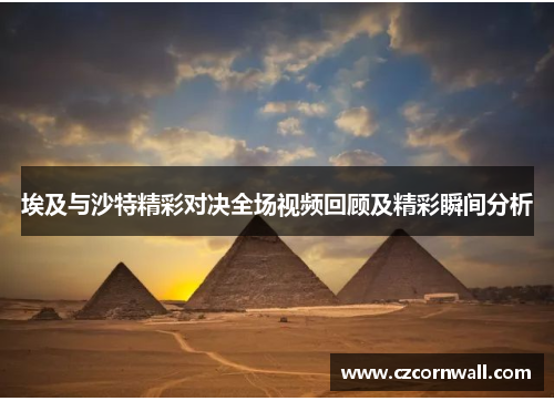 埃及与沙特精彩对决全场视频回顾及精彩瞬间分析