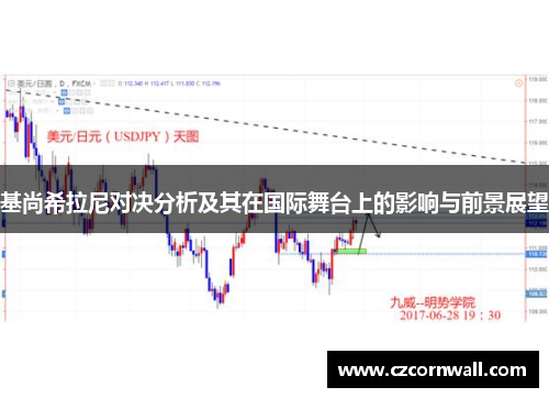 基尚希拉尼对决分析及其在国际舞台上的影响与前景展望