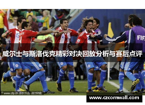 威尔士与斯洛伐克精彩对决回放分析与赛后点评