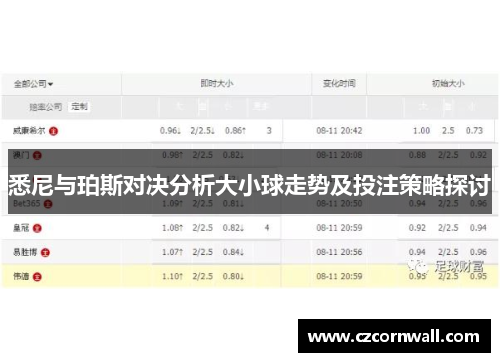悉尼与珀斯对决分析大小球走势及投注策略探讨